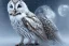 Placeholder: snow winged OWL