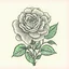 Placeholder: Rose,pastel,illustrations,elements,simple,vector,modern