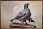 Placeholder: Pigeon 19th painting