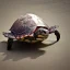 Placeholder: turtle has magic