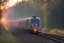 Placeholder: a passenger train emergency braking; polish train; woodlands, sunrise;