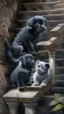 Placeholder: A shaggy black puppy dog with a white belly, a gray kitten, a three color kitten eating salami on a stone stairway in the woods