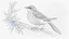 Placeholder: Detailed drawing of a bird on a white background