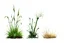 Placeholder: "Isolated concept art of multiple types of alien grass on a plain neutral background. Designed for different biomes: Forest biome – lush, dense, tall grass with strange broad blades, glowing tips, and twisted leaves. Swamp biome – slimy, wet, moss-like grass with tangled roots, bioluminescent details, and spongy textures. Desert biome – dry, spiky, brittle grass with sharp edges, thorn-like blades, and pale dusty colors. Each grass type should have a unique silhouette and texture.