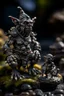 Placeholder: "troll og tusser"i svarte granskauen, painted miniatures, shot on Hasselblad h6d-400c, zeiss prime lens, bokeh like f/0.8, tilt-shift lens 8k, high detail, smooth render, down-light, unreal engine, prize winning