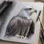 Placeholder: drawing in a sketch book of a realistic eagle.