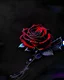 Placeholder: Deep red rose, black background, linear shapes