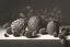 Placeholder: a realistic still life graphite drawing of pine cones in the classical style of Pieter Claesz, Jan Jansz. van de Velde and Anthonie Leemans