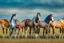 Placeholder: horses of different colors standing on a field