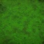 Placeholder: duckweed in a laboratory miyazaki