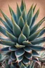 Placeholder: Varigated agave