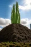 Placeholder: skyscraper sprouting from dirt