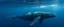 Placeholder: “static documentary photograph” → kills action behavior “no interactions between subjects” → prevents story hallucinations “single whale / isolated subject” → stops group chaos removing verbs like breaching violently / dramatic / epic helps a lot