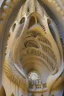 Placeholder: a cathedral in a vertical Nautilus shell by artist "Gaudi"