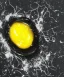 Placeholder: Cosmic ooze leaking from a cracked egg