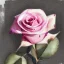 Placeholder: Watercolor pink roses