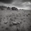 Placeholder: desolate deserted arid landscape with desaturated look and a bluish hue