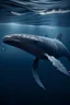 Placeholder: ocean whale sustainability