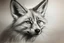 Placeholder: outline sketch in rough charcoal, portrait of a fox