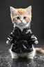 Placeholder: baby cat in raincoat. Chibi, Photograph, Canon DSLR, Tilt - shift, black background, high definition, Complete and coordinated composition, 8k