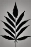 Placeholder: Pencil sketch of a marijuana leaf on lined paper, black and white, pattern