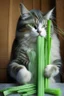 Placeholder: cat and celery sticks