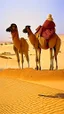 Placeholder: Africa, camel and desert, farmers