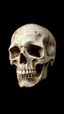 Placeholder: skull covered in corrosion from a black background,