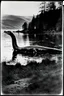Placeholder: 1890s Photograph of the Loch Ness Monster