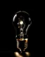 Placeholder: Large Light bulb filled with light; black background