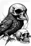 Placeholder: raven and skull sketch artistic