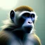 Placeholder: monkey, A upper body portrait of an monkey, Mitchell Mohrhauser, Maciej Kuciara,full body, midjourney style, 8k, photorealistic, cinematic lighting, dramatic, atmosphereric,