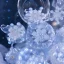 Placeholder: digital concept art of many small epic fantasy ice flowers and many small semi transparent white snowflakes, majestic, intricate, masterpiece, insanely detailed, 4k resolution, cinematic smooth, intricate details , soft smooth lighting, vivid pastel colors, iridescent accents