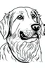 Placeholder: "A black and white line art illustration of a realistic [dog breed] in a coloring book style, with thick outlines defining the fur texture and simple shapes, on a plain white background." Examples: "A black and white line art illustration of a realistic golden retriever in a coloring book style, with thick outlines defining the fur texture and simple shapes, on a plain white background." "A black and white line art illustration of a realistic pug in a coloring book style, with thick outlines de