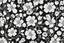 Placeholder: image vectoriel noir et blanc motif fleurs printanière design harmonieux répété les fleurs dans toute les direction pour remplir un rectangle abstrait naturel noir et blanc pochoir aplat minimaliste aucun details aucun details forme pleine aplat de couleurs