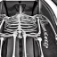 Placeholder: skeleton and organs of a bus