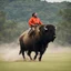 Placeholder: riding a buffalo