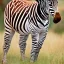 Placeholder:  female zebra with lipstick