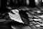 Placeholder: love, black and white