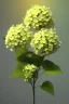 Placeholder: an isolated translucent hydrangea plant, 3d render, art nouveau style, ultra realistic, masked transparent flat background, backlight, popular on sketchfab, pixelsquid, 8k, volumetric lighting, super focused, no blur, trending on artstation, octane render, ultra detailed, hyperrealistic, by artgerm and alphonse mucha