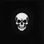 Placeholder: minimalistic skull logo