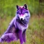 Placeholder: Purple wolf