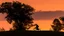 Placeholder: Silhouette of a lone rider on the green hill at sunrise