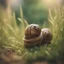 Placeholder: wrapped Egyptian mummy snail in long grass ,bokeh like f/0.8, tilt-shift lens 8k,*-