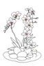 Placeholder: outline art for visually rich appealing tall ikebana heart orchids plumeria spa rounded stones around candles, coloring page for kids, white background, fit to page, only use outline, clean line art, no shadows, clear and well outlined