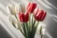 Placeholder: photorealistic 3 red tulips above and 2 white tulips down in a bouquet, soft lighting, sharp focus, rough edges in sunshine