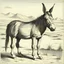 Placeholder: engraving of mule illustration