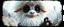 Placeholder: 3d airbrush render, white fluffy gnome panda elf alien dodo , pinhole cam, airbrush 3d rendering, in the style of Titian and Dali , torn edges on border
