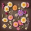 Placeholder: delicate arrangement of pressed flowers, beautiful composition, aesthetic layout, wildflowers, fine lineart