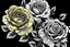 Placeholder: coloring images of Grandiflora Roses: Gold Medal , black and white background, fine lines